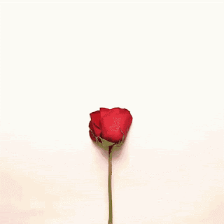 Happy Rose Day Gifs