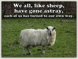 Scripture for Today: 1 Peter 2:21-25 ~ straying like sheep, but have ...