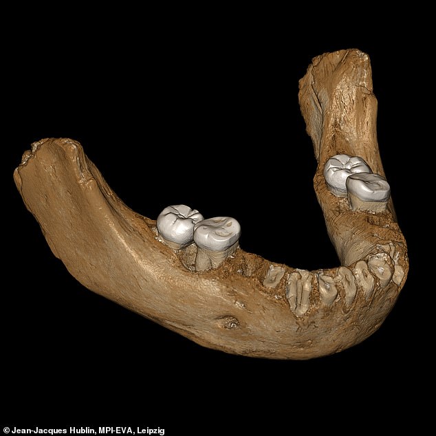 Denisovans Jawbone