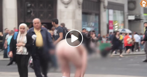 فن كتابة المقالة