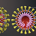 Coronavirus disease, its composition, testing method, and management: