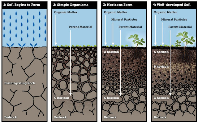 Proses Pembentukan Tanah - Geograpik
