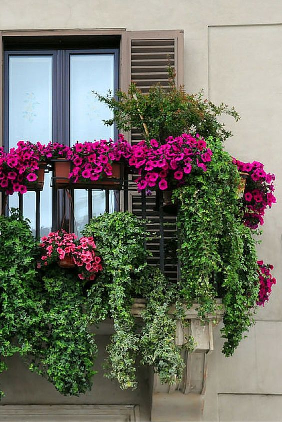 Creative Balcony Garden Design Ideas for Gardeners Boo Gardening