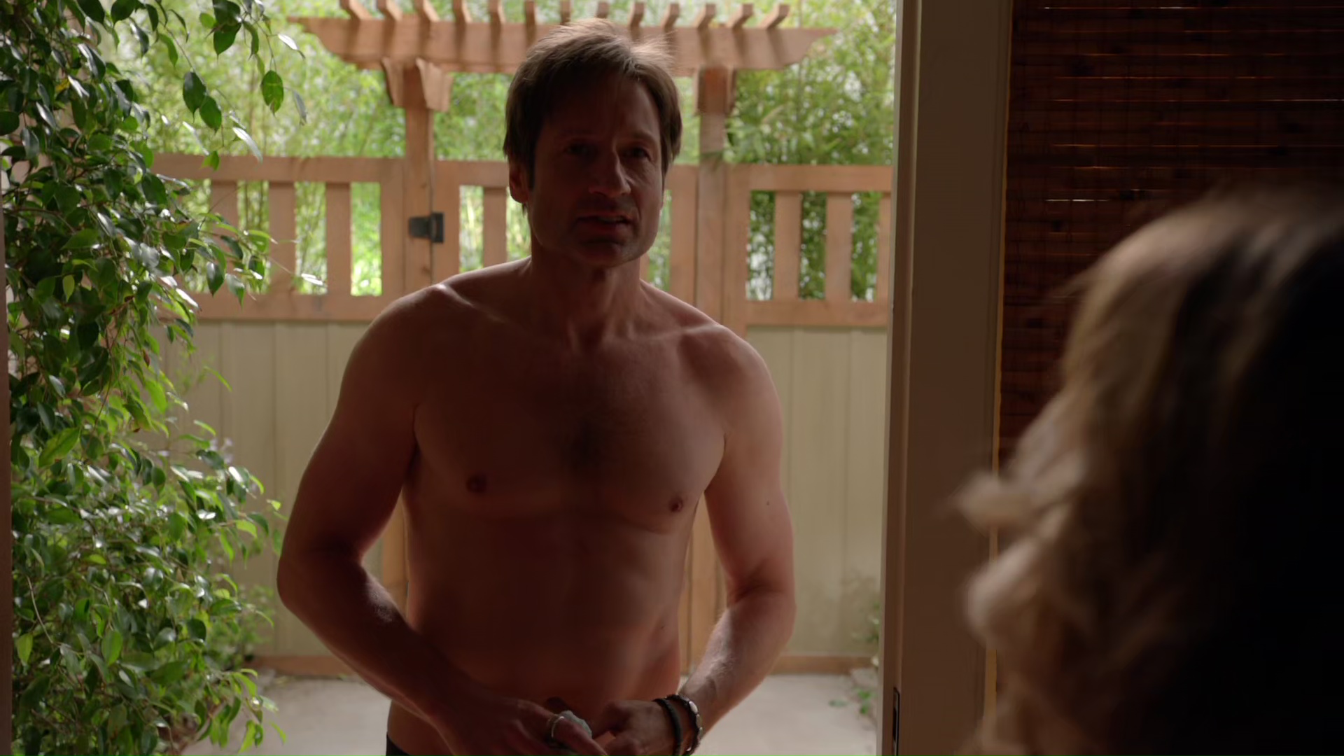 David Duchovny and Evan Handler nude in Californication 5-04 "Waiting ...