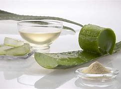 Aloe Vera Juice Benefits Hindi | एलोवेरा क्या है? Aloe Vera Juice Benefits Hindi | एलोवेरा क्या है?