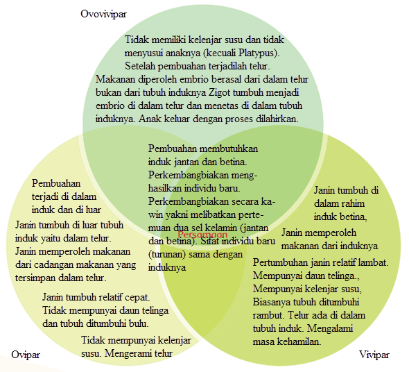  Perbedaan  dan  Persamaan Ovipar  Vivipar dan  Ovovivipar  