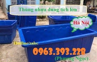 Thùng nhựa nuôi cá, thùng nhựa đựng thủy hải sản, thùng nhựa trồng rau 00aea052e0aa07f45ebb