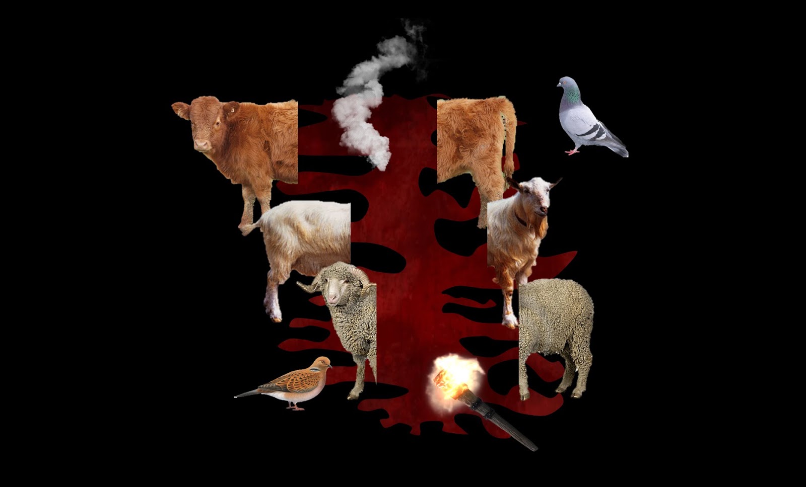 Dig Deeper: Blood Path: Genesis 15 Covenant