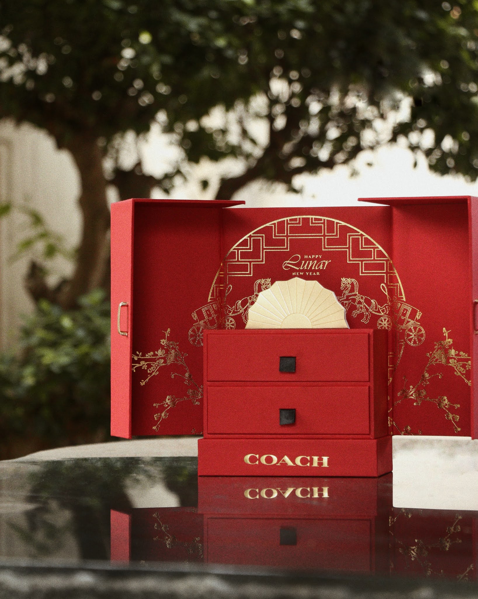 Coach Lunar New Year 2021 • Coach x Champion now available in Malaysia