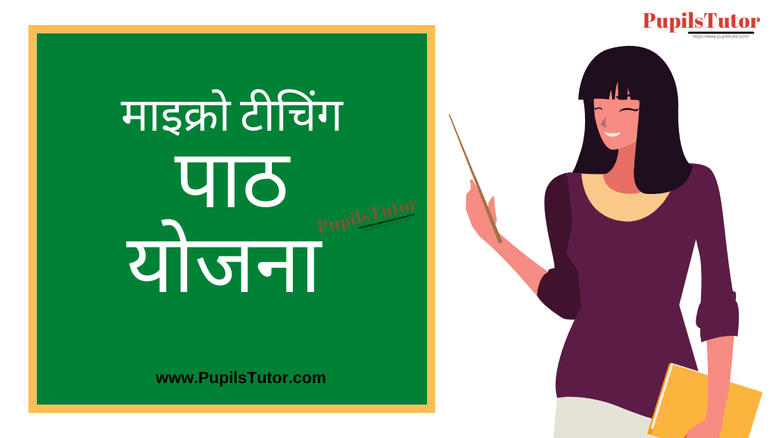 Micro teaching Lesson Plan in Hindi on Visheshan for B.Ed/DELED| माइक्रोटीचिंग हिंदी पाठ योजना