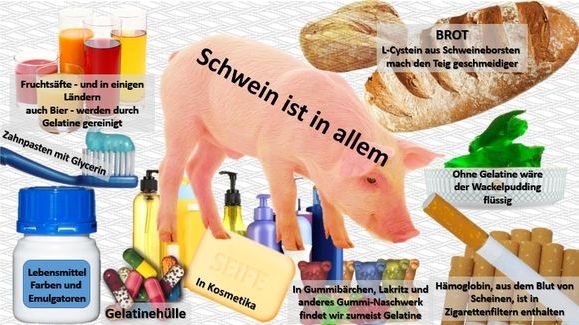 Wo Ist überall Schwein Drin Liste Eggetsberger-Info, Blogger, Blog: Schwein, wohin man schaut! Wo ist