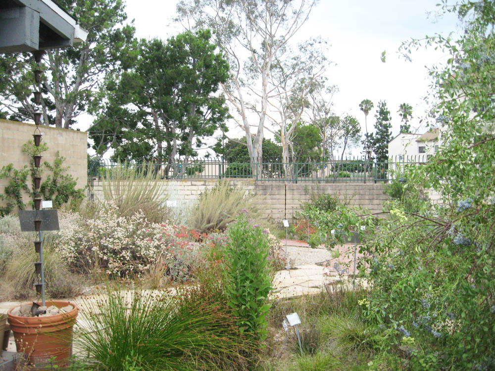 Mother Nature's Backyard A Waterwise Garden July 2015