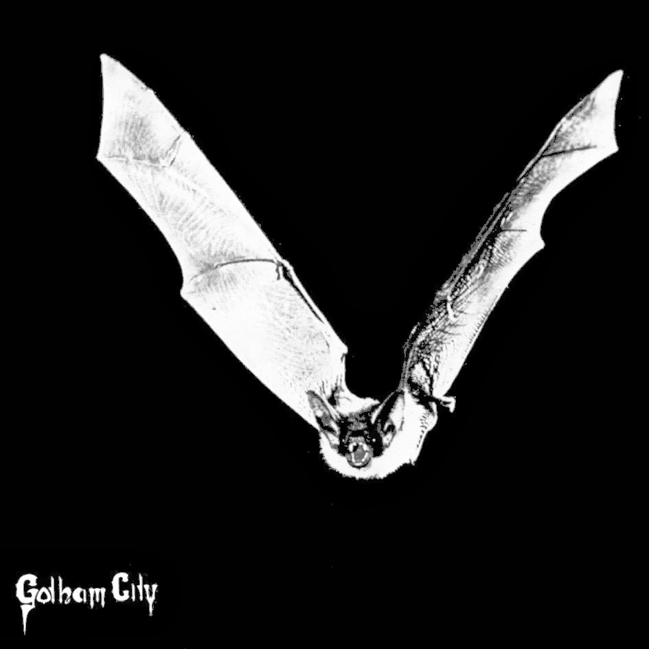 Riddle Of SteeL MetaL Music Gotham City Gotham City (Single 1982)
