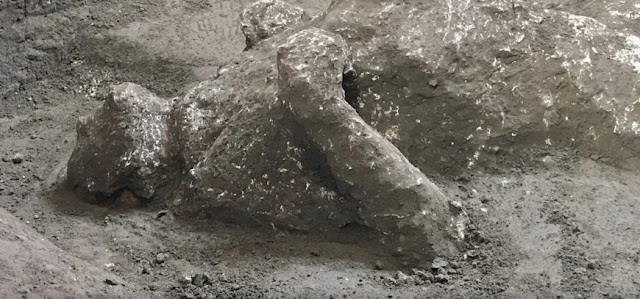 Συγκλονιστική ανακάλυψη στην Πομπηία: Τα λείψανα ενός πλούσιου πολίτη δίπλα σε έναν σκλάβο