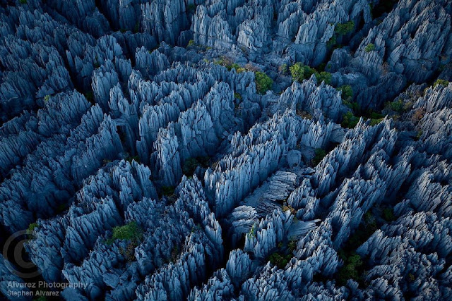 Цинги-де-Бемараха: каменный лес на Магадаскаре