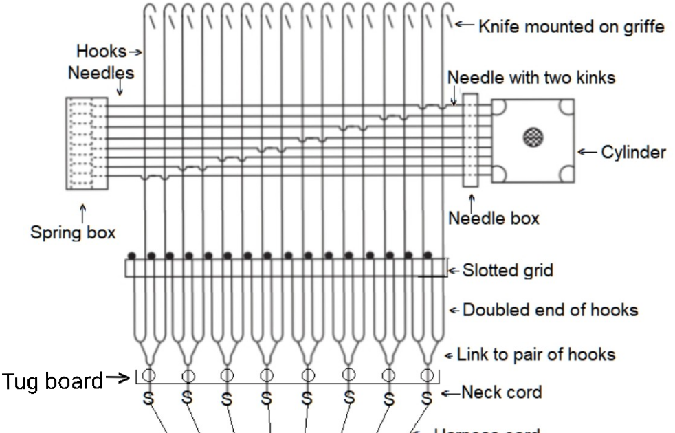 Textile Adviser Double lifts and singlecylinder Jacquard shedding
