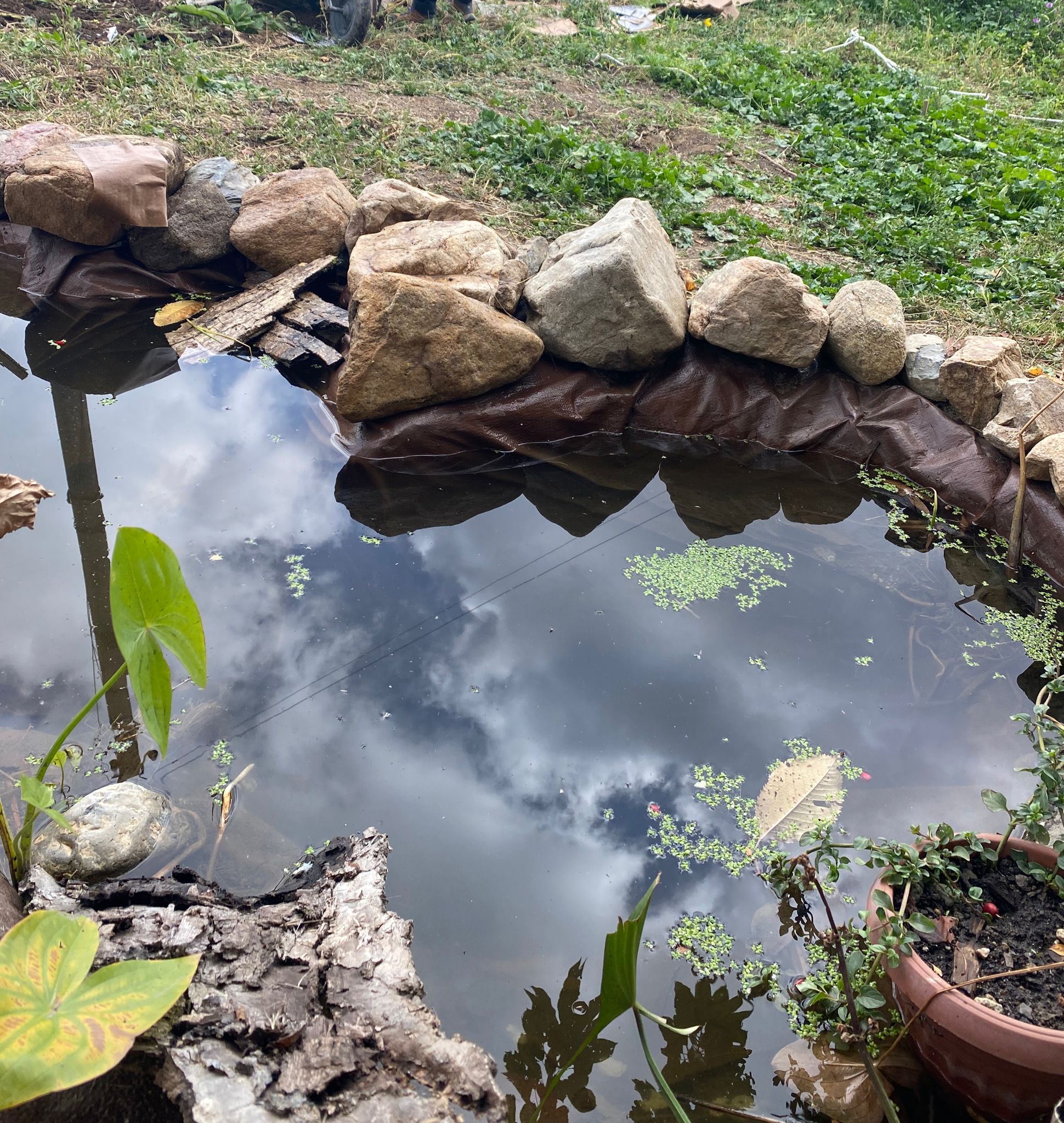 Balkan Ecology Project Making a Small Wildlife Pond on a Slope Week