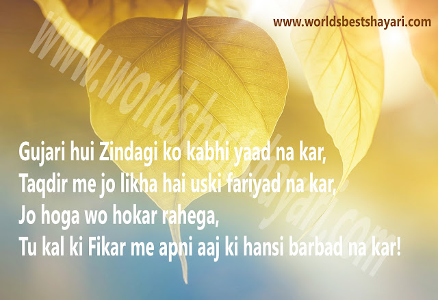 Sad Shayari 