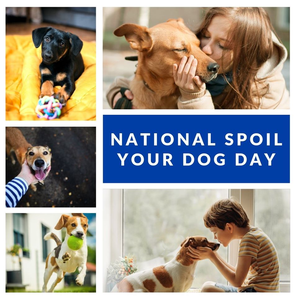 National Spoil Your Dog Day Wishes Images Whatsapp Images