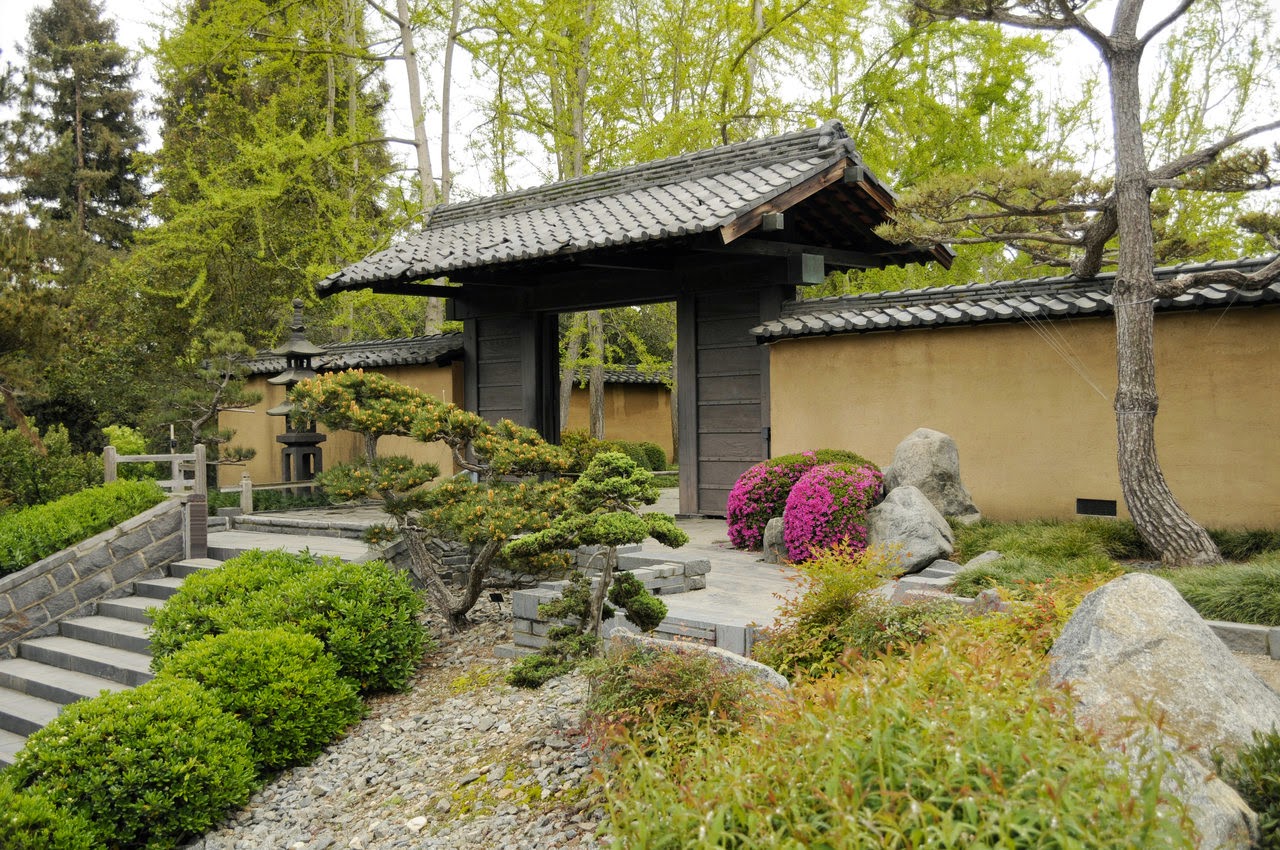 Японские дома купить. Японский сад в Японии изгороди. Сад камней в Киото. Сад пионов Япония Киото. Китайский сад камней внутренний дворик.
