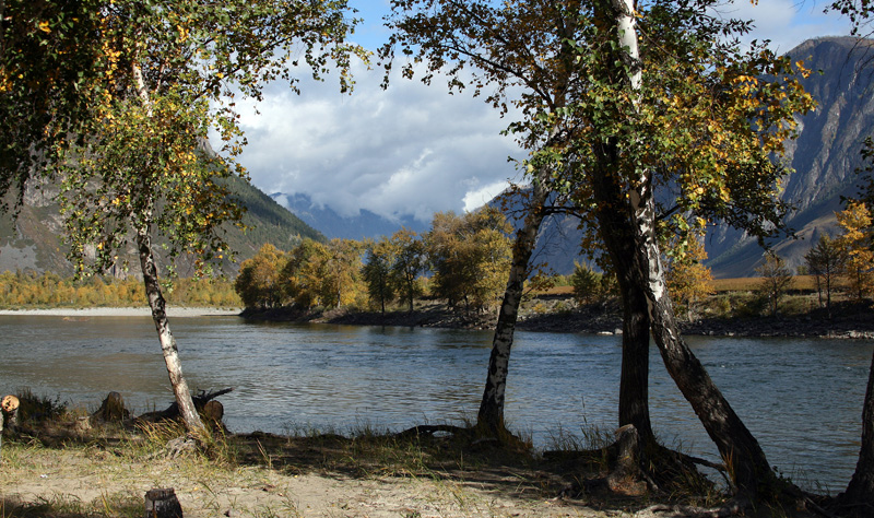 Altai Nature Reserve 6