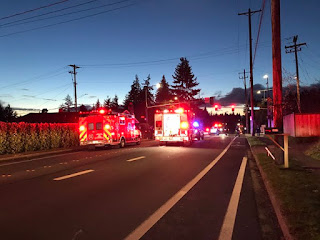 Lynnwood Police (@LynnwoodPD) tweeted at 5:35 PM on Fri, Dec 11, 2020: Vehicle versus pedestrian collision at 188th and 52nd Ave W. Two pedestrians were walking a dog at the time. The dog was struck and killed. One pedestrian was also struck and transported to the hospital.  The suspect vehicle is a dark colored SUV which fled eastbound on 188th.