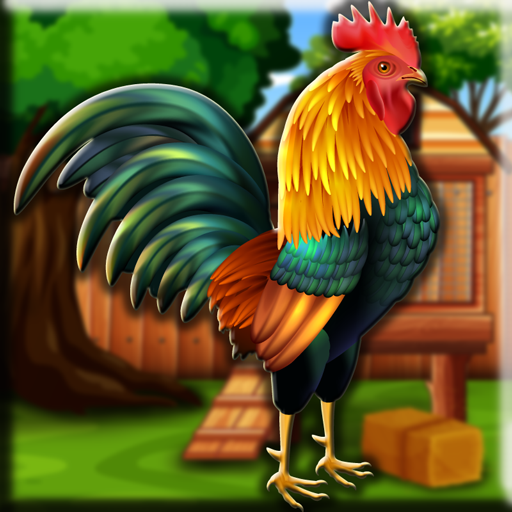 Asil Chicken Escape Walkthrough