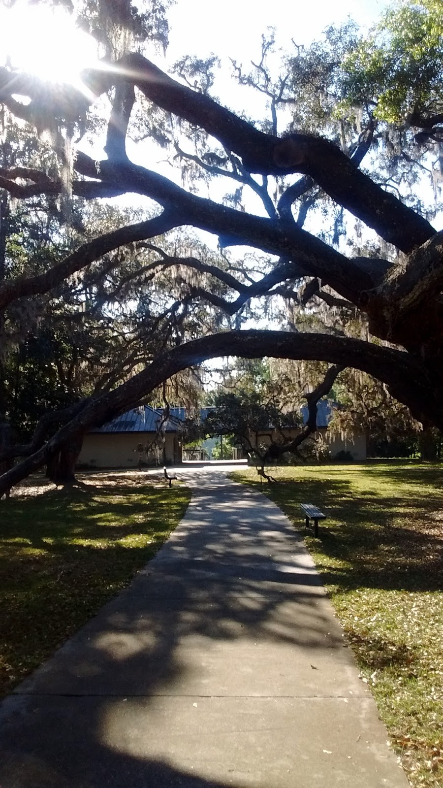 Things I Never Learned From My Mom Exploring Florida Salt Springs