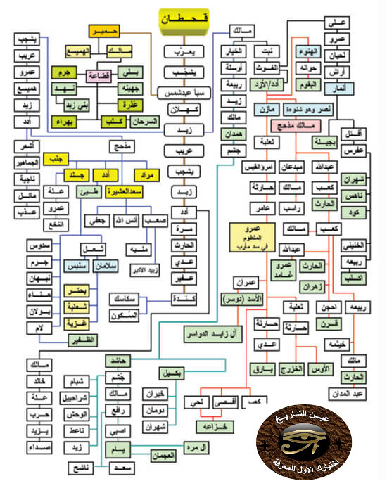 أصل العرب ونسب القبائل العربية عين التاريخ