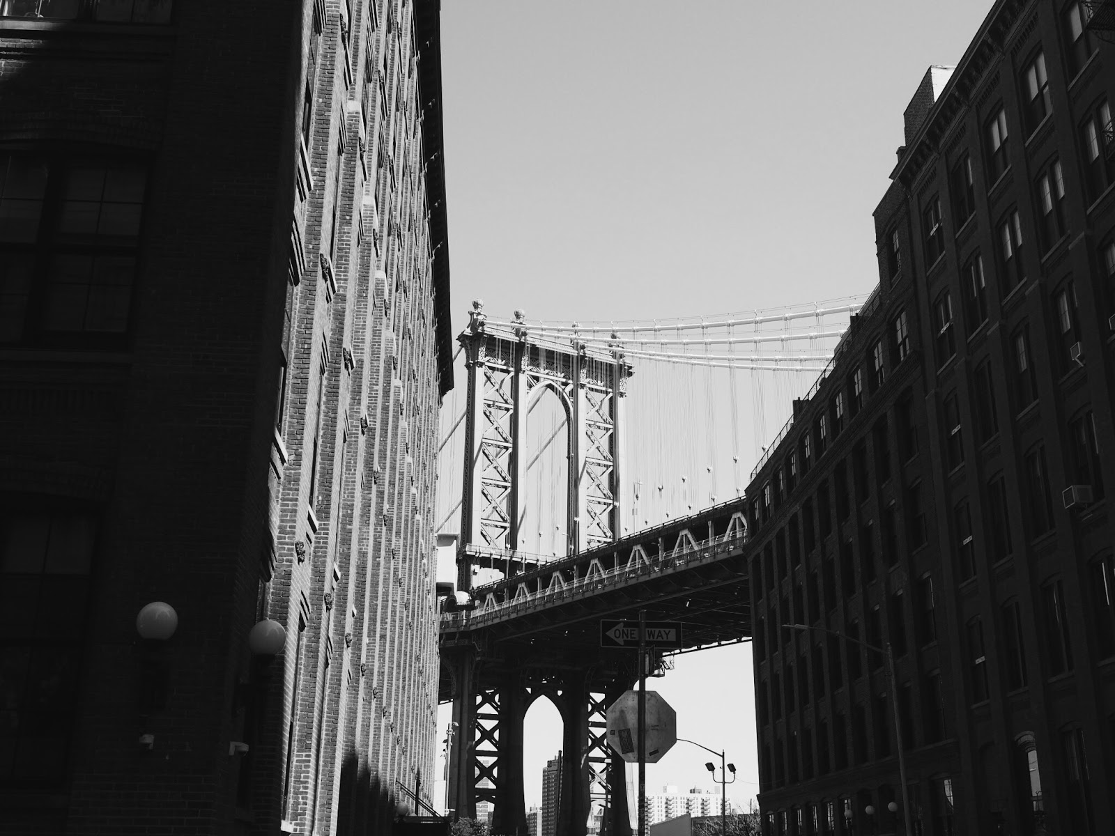 GRAY AESTHETIC