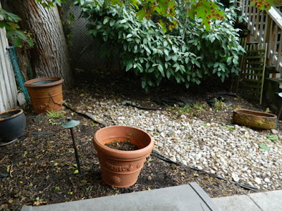 Toronto Upper Beaches Fall Cleanup After by Paul Jung Gardening Services--a Toronto Organic Gardening Company Toronto Upper Beaches Fall Cleanup After by Paul Jung Gardening Services--a Toronto Organic Gardening Company