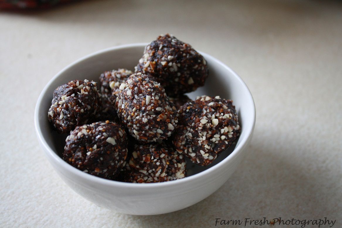 FarmgirlCyn Homemade Lara Bars