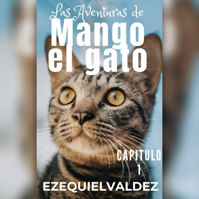 aventuras-mango-gato