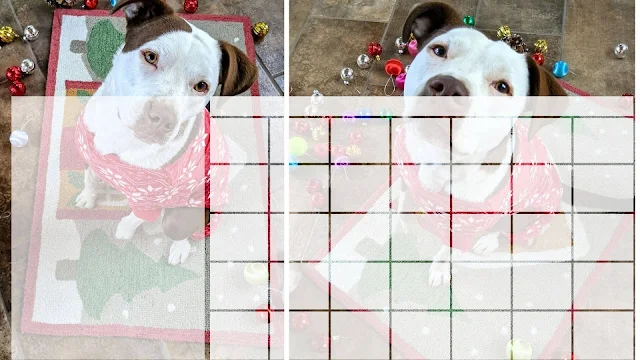 Free Christmas Calendar with Santa Paws