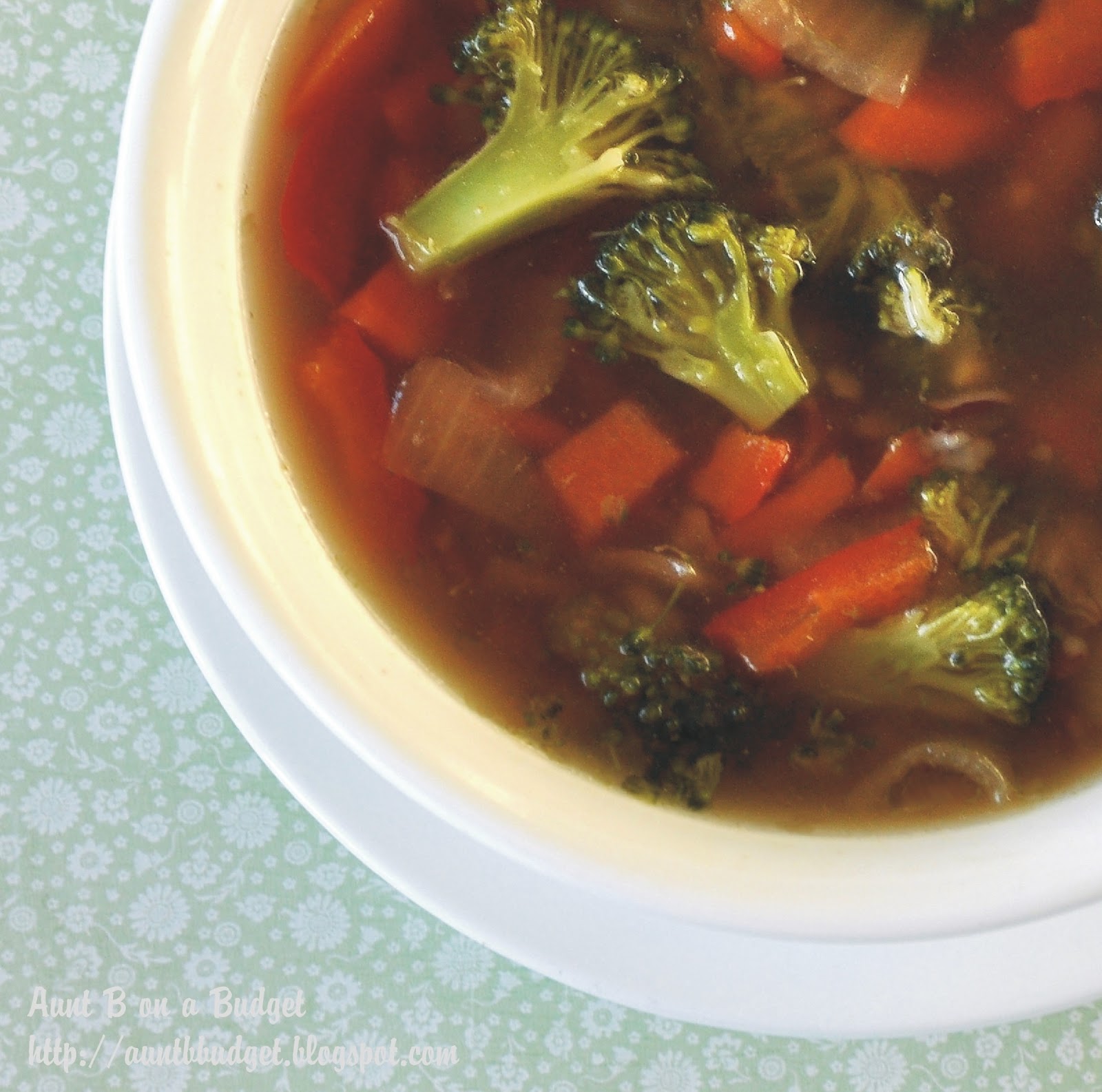 BethAnne on a Budget Beef and Vegetable Stir Fry in Garlic Ginger Sauce