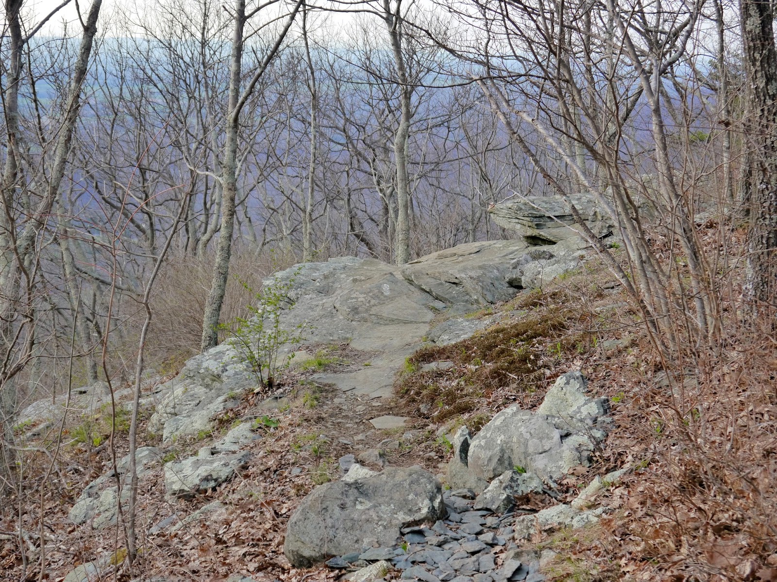 American Travel Journal Rockfish Gap to McCormick Gap Appalachian