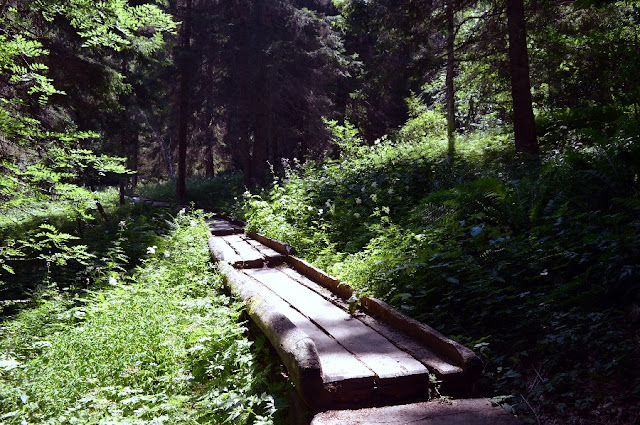 escursione lago dei caprioli