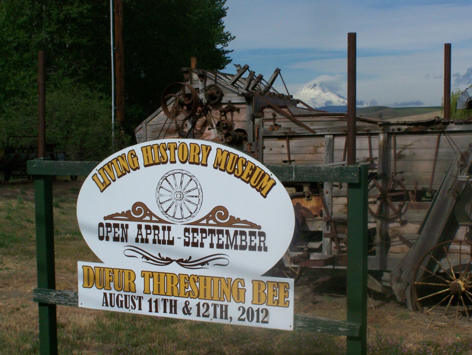 65 and STILL ALIVE DUFUR, OREGON 2013