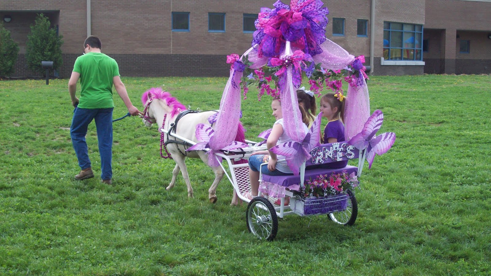http://1.bp.blogspot.com/-c5J-gLUSgJE/TaPNq1B1LDI/AAAAAAAAACs/YTIiHA33Isg/s1600/WV2011+-+40+-+Pink+Pony.JPG