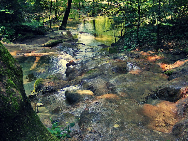 cascada beusnita secata 2008