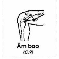 Vị trí huyệt âm bao