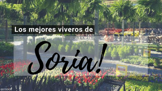 Comprar Plantas online en Soria, España