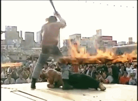 6.gif