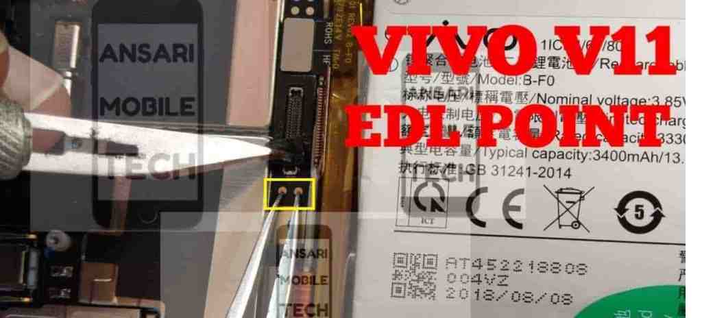 EDL%2BY11.jpg