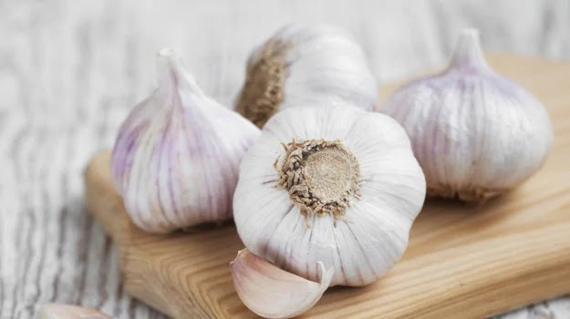 uses of garlic