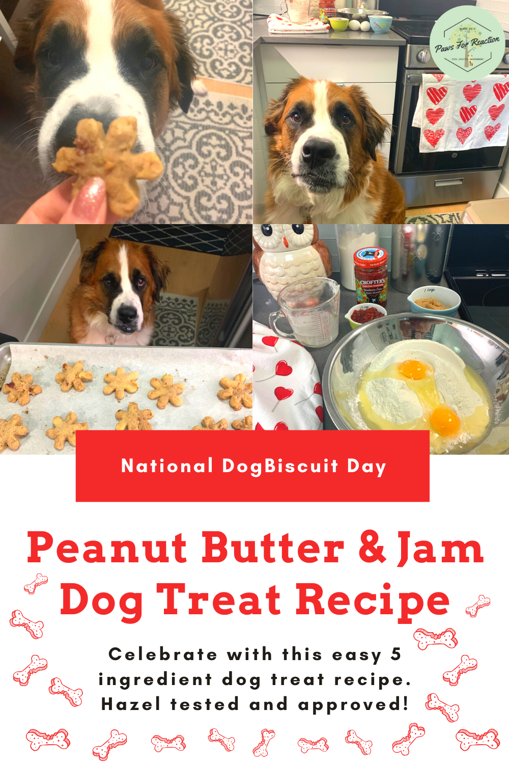February 23 is National Dog Biscuit Day Peanut butter & jam dog treat