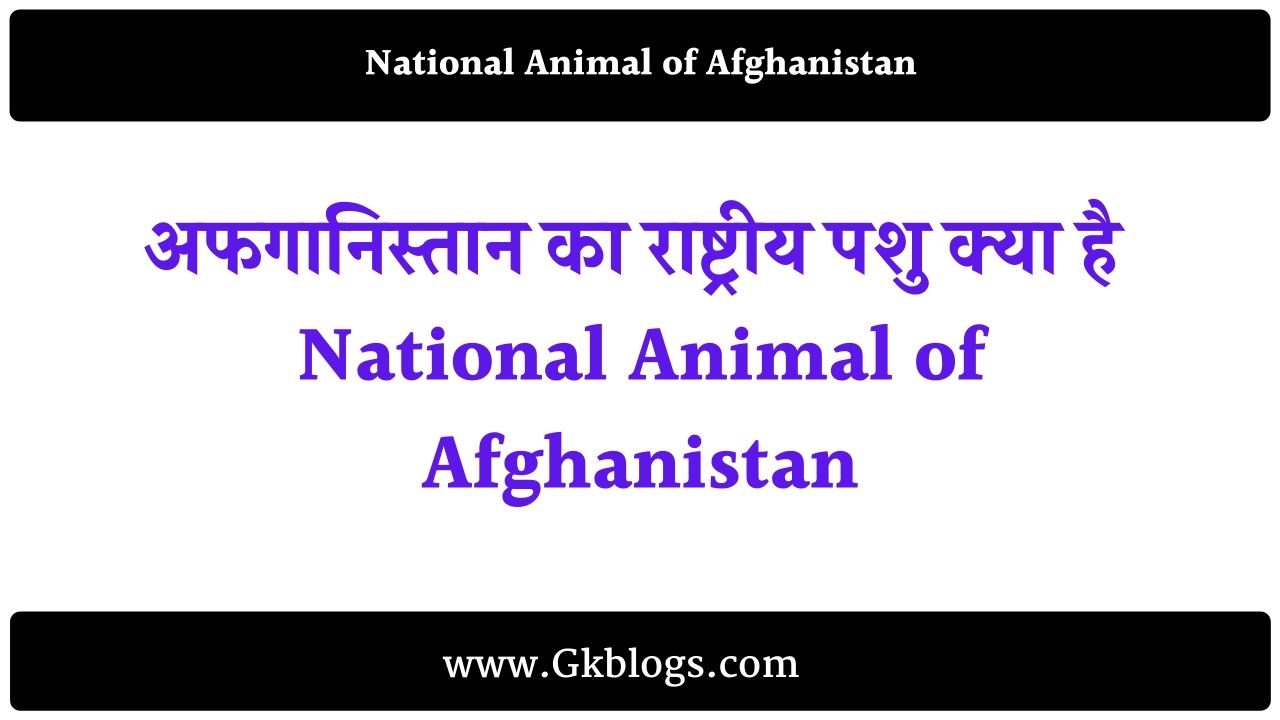 अफगानिस्तान का राष्ट्रीय पशु क्या है | National Animal of Afghanistan