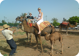 pregnant woman riding a camel, pregnant in Morocco