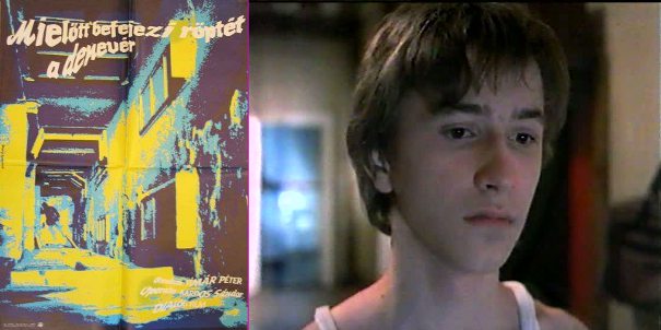 Mielőtt befejezi röptét a denevér Mielőtt befejezi röptét a denevér