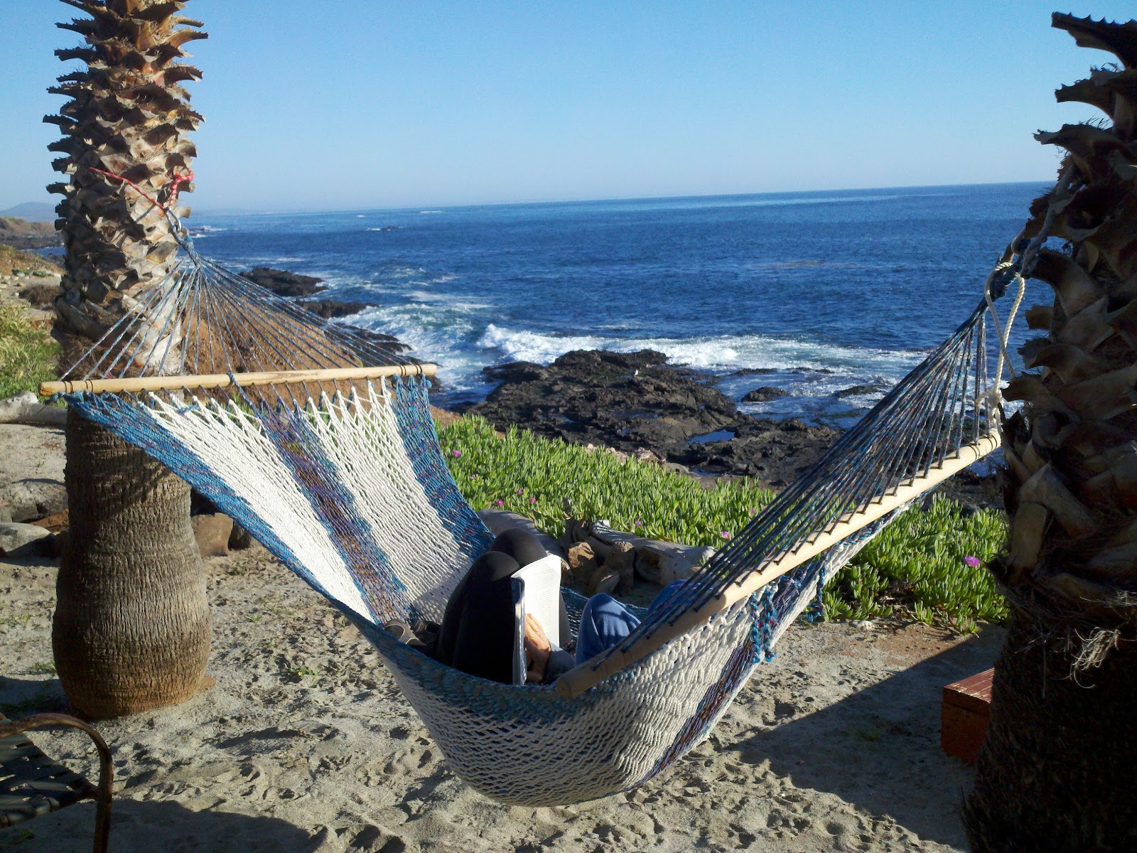 Revisiting and Meeting New Baja Friends